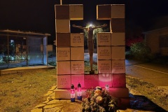 20251118_032346-–-kopija